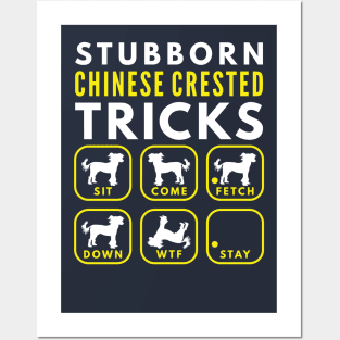 Stubborn Chinese Crested Tricks - Dog Training Posters and Art